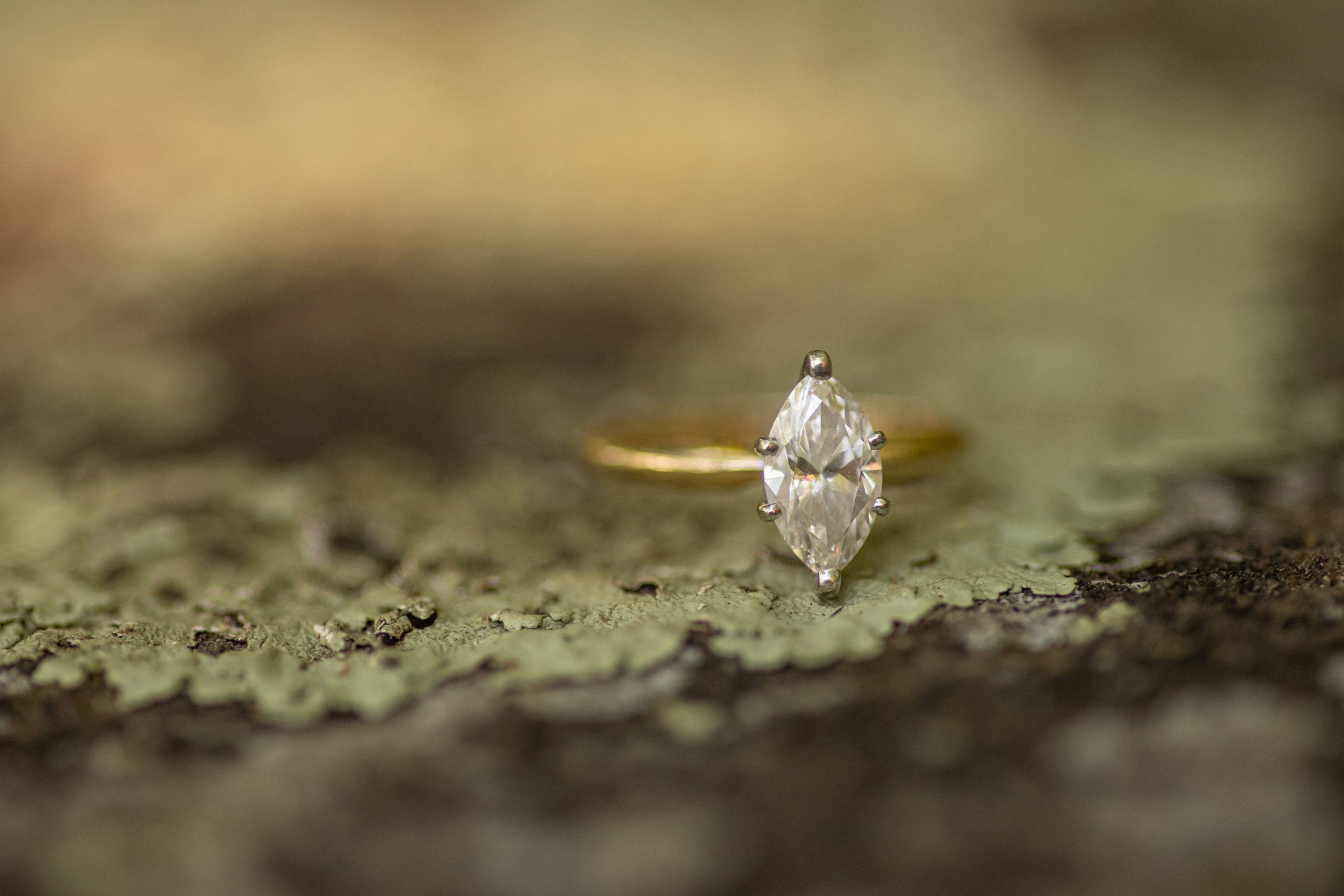 best places to take engagement photos in illinois