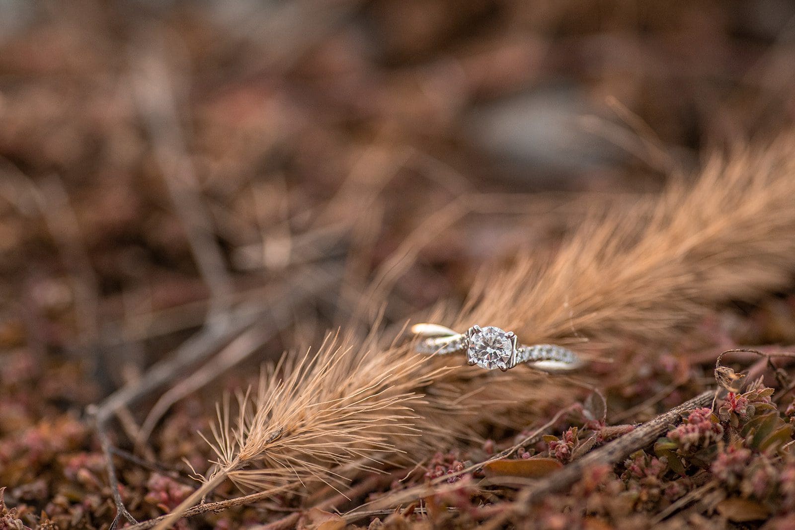 engagement photoshoot